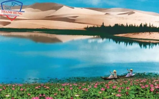 Bàu Trắng Mũi Né