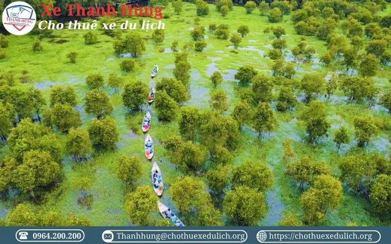 Rừng tràm Trà Sư