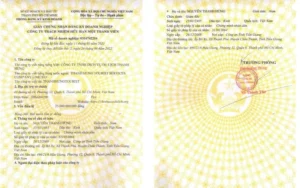 Giấy phép kinh doanh