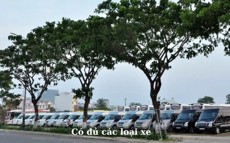 Xe Thanh Hùng có đủ các loại xe