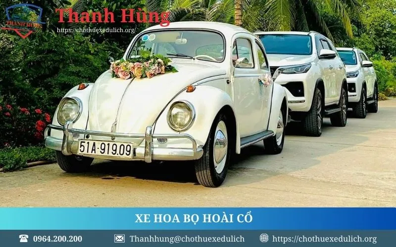 Xe hoa Bọ hoài cổ